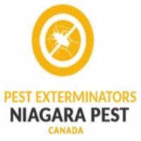 Pest Control Niagara Falls image 4
